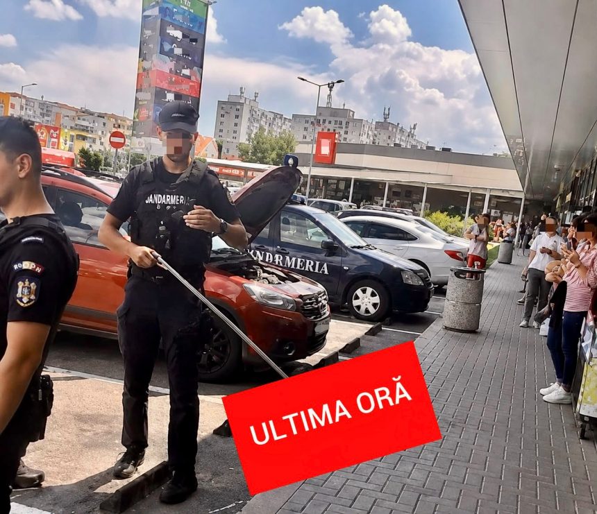 Sarpe prins in parcarea unui centru comercial