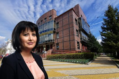 Simona Bratulescu noul director al Bibliotecii Judetene
