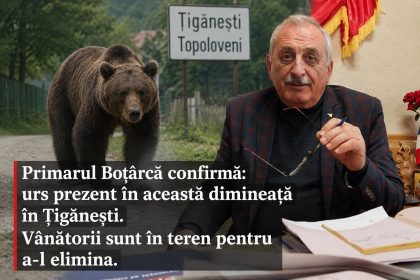 exclusiv alerta maxima la topoloveni in arges a fost observat un urs