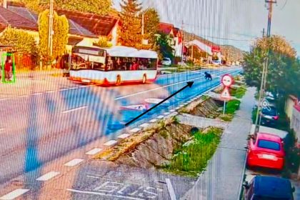 Imagini video infricosatoare Un urs trece strada
