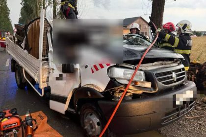 Tragedie Un sofer a decedat dupa ce un copac a cazut peste el