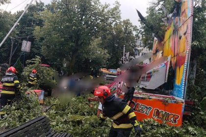 haos meteorologic in arges copaci doborati curti si strazi afectate