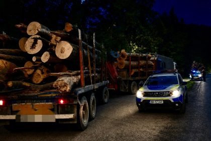 transport ilegal de lemn la babana in arges