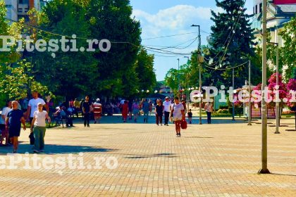 781 de locuri de munca disponibile in Arges ANOFM anunta ce oportunitati exista
