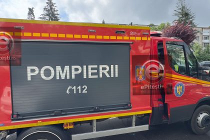 Arges Patru incendii in decurs de doua zile 8 hectare de vegetatie au fost afectate
