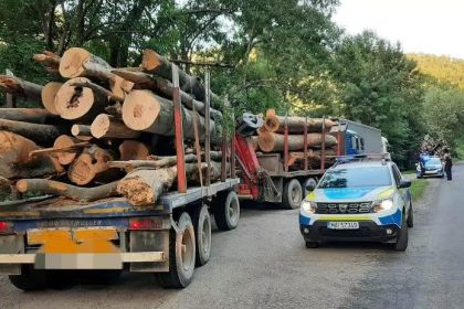 Captura impresionanta la Costesti in Arges Transport ilegal de