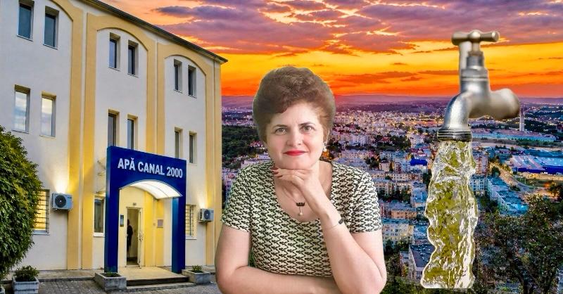 Ce afirma sefa DSP Arges S Hontaru despre calitatea apel din