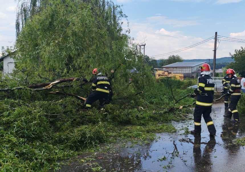 Copac cazut pe drum in Stalpeni Arges Ambele benzi