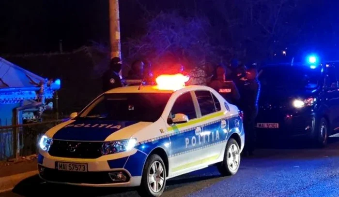Curtea de Arges Doi tineri de 17 si 18 ani arestati pentru
