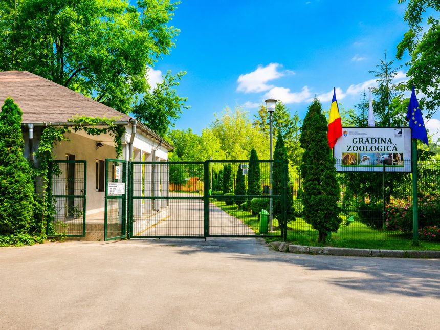 Gradina Zoologica Pitesti adopta masuri speciale din cauza
