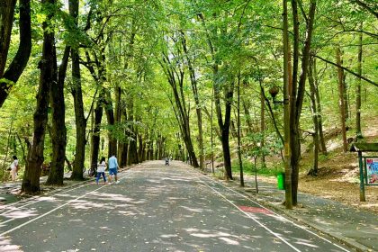 O caprioara a decedat in Parcul Trivale din Pitesti