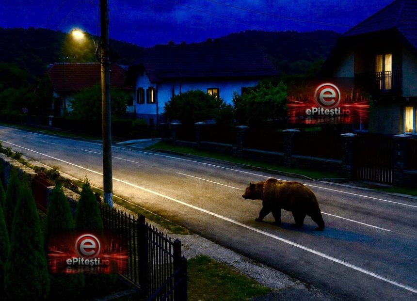 Oamenii speriai n Arge Uri observai n 3 locaii