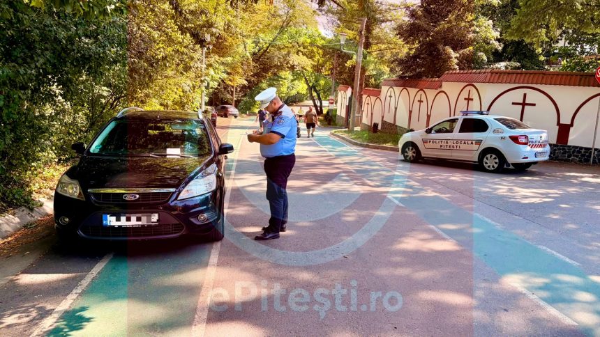 Parcari ilegale in Padurea Trivale Pitesti 5