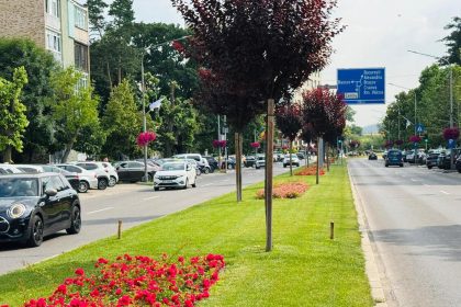 Pitesti Femeie surprinsa in timp ce lua pamant dintr o