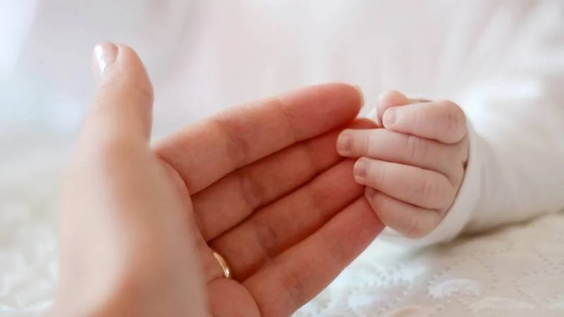 Programul de Fertilizare In Vitro 2026 Incep inscrierile