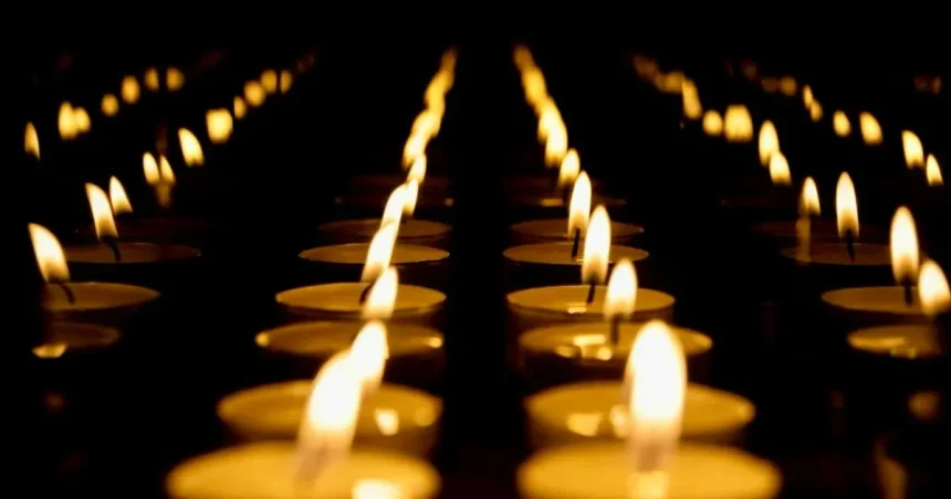 A murit academicianul Ionel Haiduc, personalitate marcantă a științei