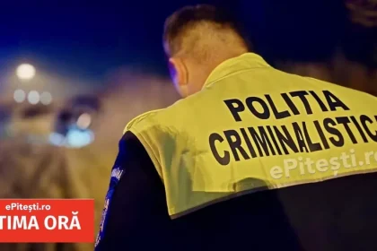 Accident grav pe DN 7, Valea Oltului: o tânără de