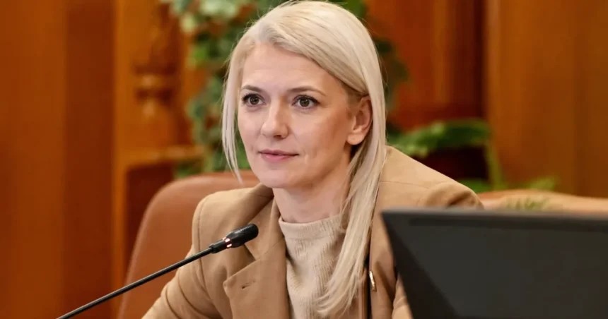 Alina Gorghiu: România are nevoie de un Guvern stabil