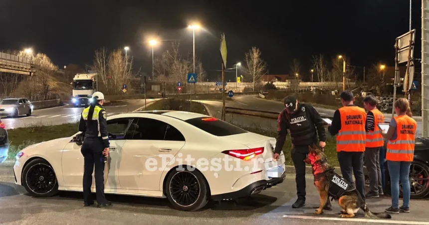 Anchetă fără precedent desfășurată în trafic!