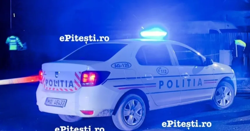 Argeș: Soarta socrului care și-a rănit grav nora