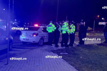 Doi tineri de 17 și 18 ani, autori ai unor fapte grave