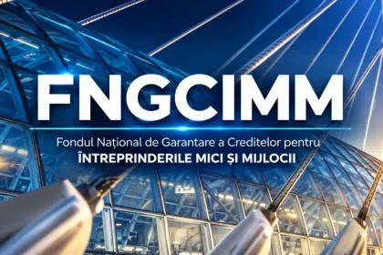 Ghidul FNGCIMM pentru accesarea unei garanții
