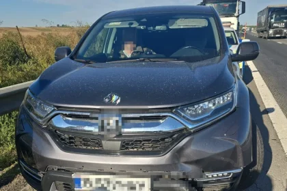 Honda a lovit un porc pe autostrada A1 Pitești-București
