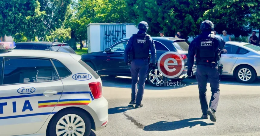 Poliția Argeș a dat peste 1.000 de amenzi într-o razie