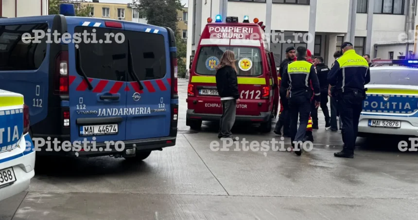 A venit cu maceta și a început să dea. Mărturia