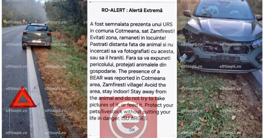 Accident pe DN7 în Argeș: o mașină a lovit un urs