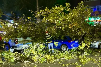 Dezastru! Un copac a căzut peste mai multe mașini. O persoană a fost rănită