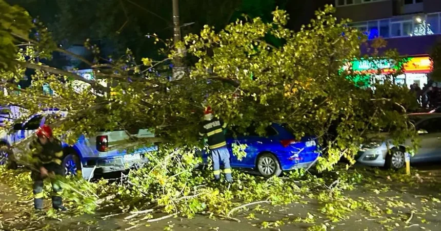 Dezastru! Un copac a căzut peste mai multe mașini. O persoană a fost rănită
