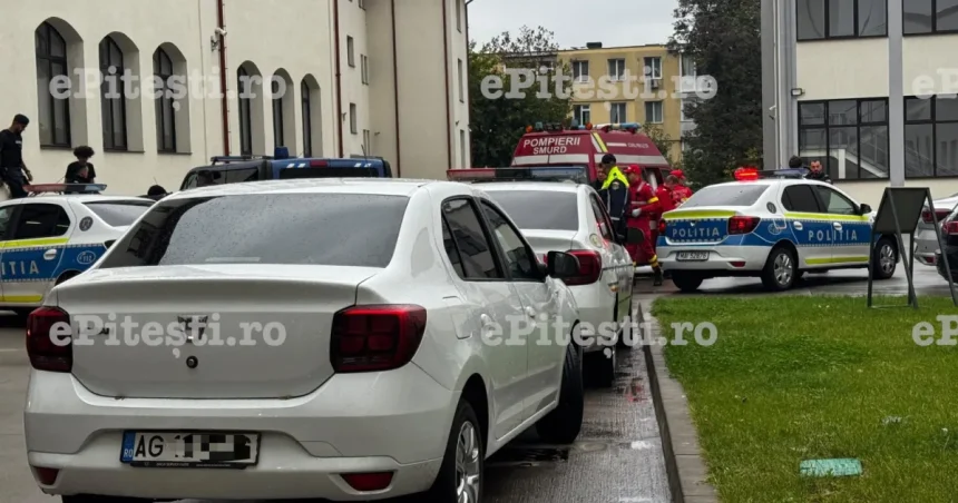 Elevul care a tăiat cu maceta un coleg la Liceul din Pitești