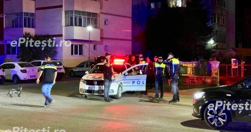 Poliția Argeș, anunț oficial despre fata de 17 ani