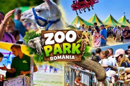 Zeci de elefanți pot fi hrăniți din palmă, o experiență unică