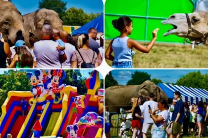 Zoo Park cu zebre, pinguini și zeci de animale: o experiență de neratat