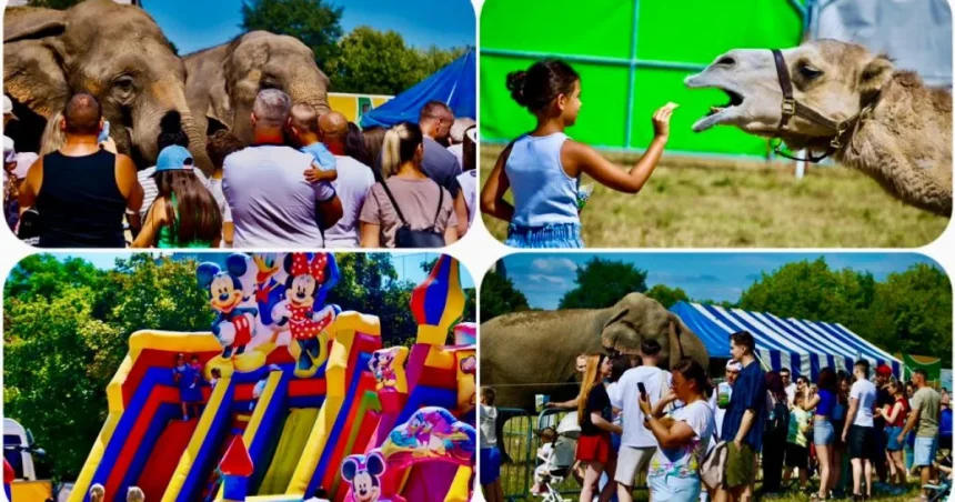 Zoo Park cu zebre, pinguini și zeci de animale: o experiență de neratat
